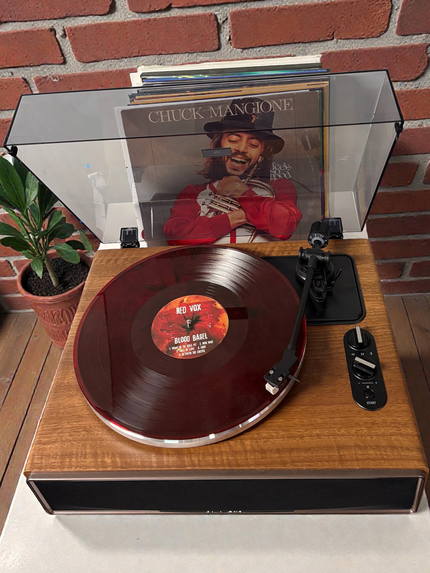 Red Vox - Blood Bagel Etched Vinyl