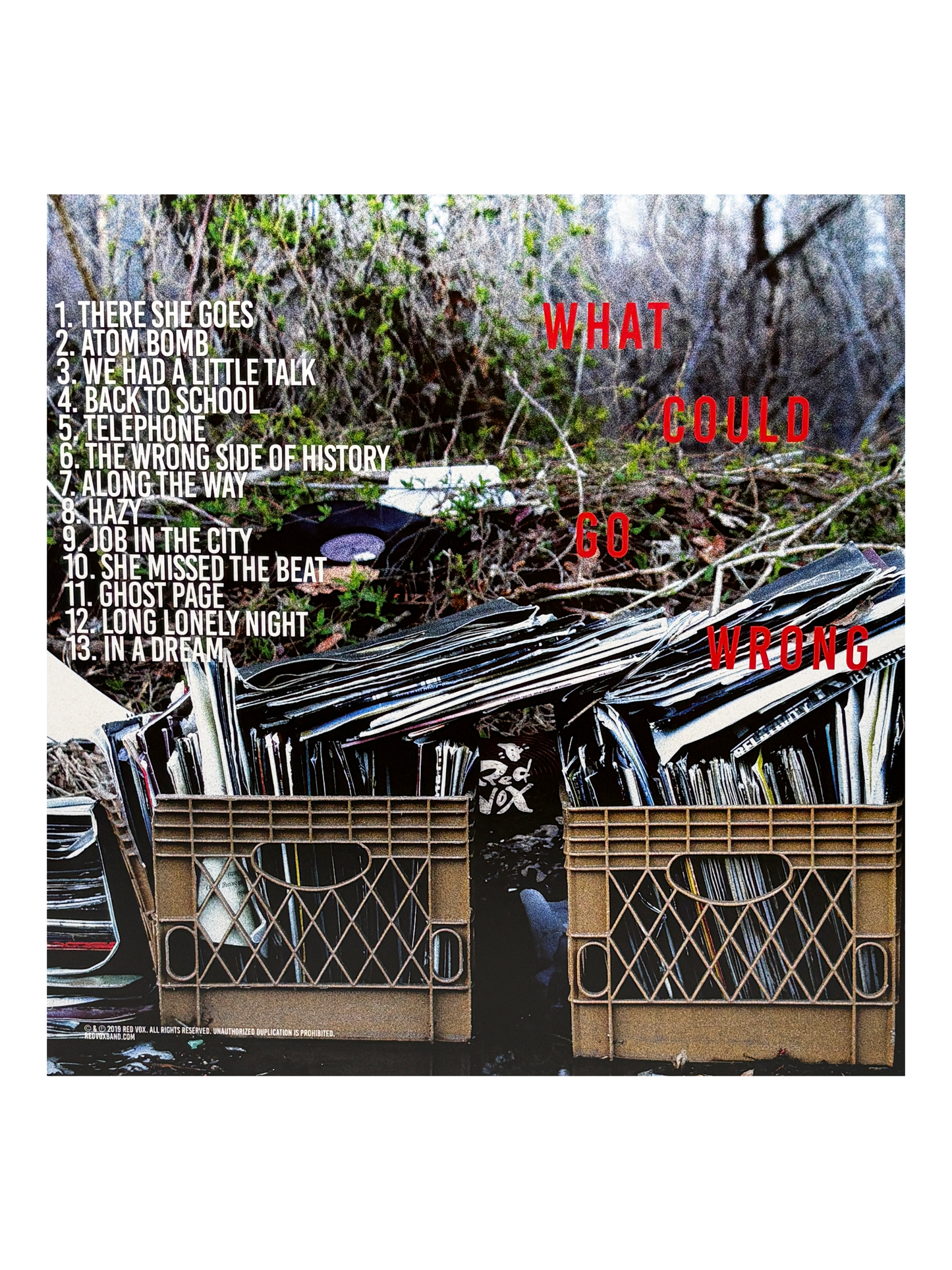 Red Vox - What Could Go Wrong Vinyl
