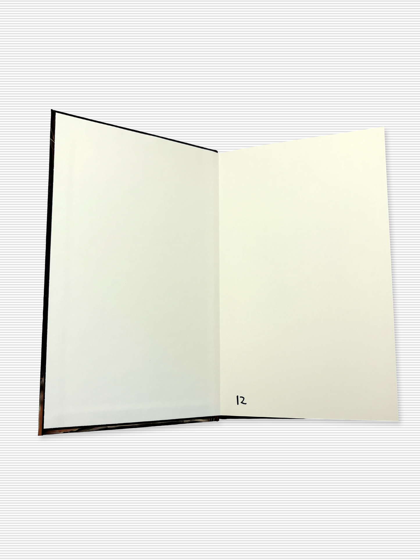 Cinemassacre Limited Edition Gnome Cave Book Signed Number