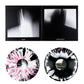Red Vox -  Visions and Afterthoughts Vinyl
